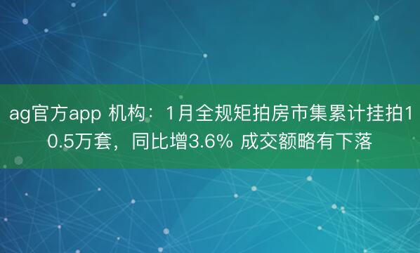 ag官方app 机构:1月全规矩拍房市集累计挂拍10.5万套,同比增3.6% 成交额略有下落