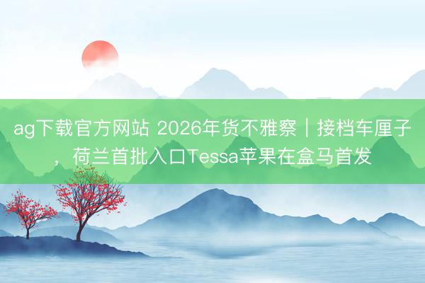 ag下载官方网站 2026年货不雅察｜接档车厘子，荷兰首批入口Tessa苹果在盒马首发