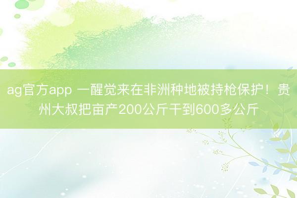 ag官方app 一醒觉来在非洲种地被持枪保护!贵州大叔把亩产200公斤干到600多公斤