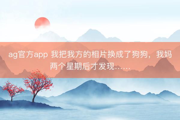 ag官方app 我把我方的相片换成了狗狗，我妈两个星期后才发现……
