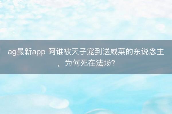 ag最新app 阿谁被天子宠到送咸菜的东说念主，为何死在法场？